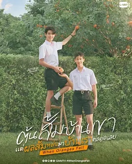 当橘子掉落时——我们结婚了全集后续剧情